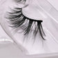 Independence Lashes